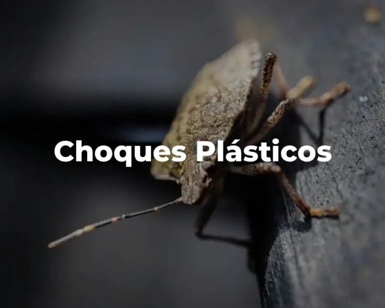 Choques Plásticos