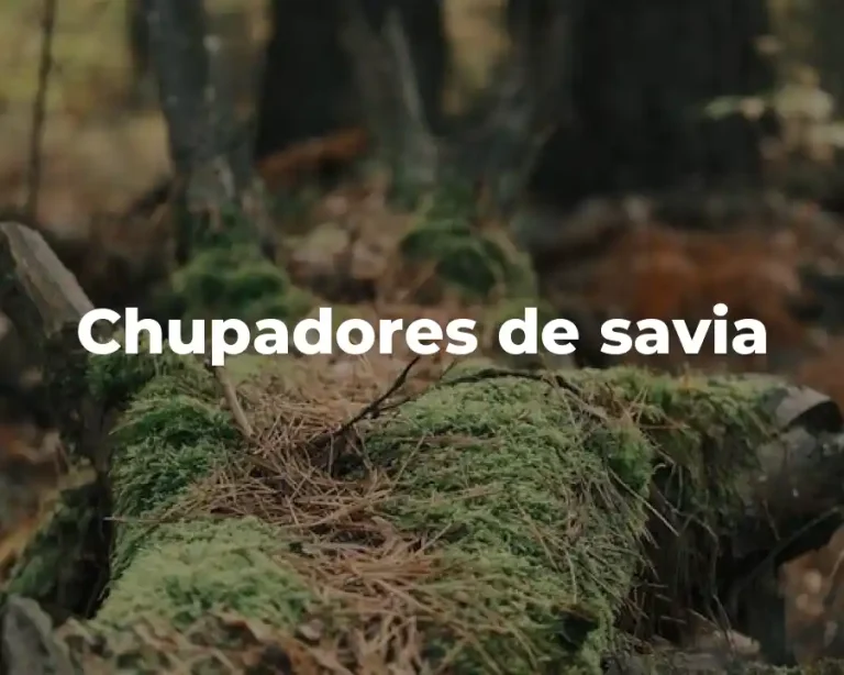 Chupadores de savia