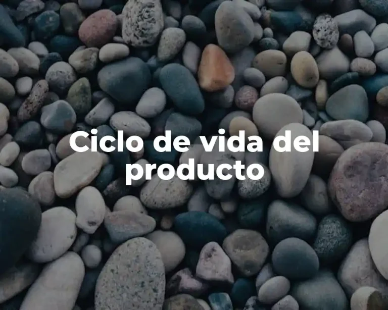 Ciclo de vida del producto