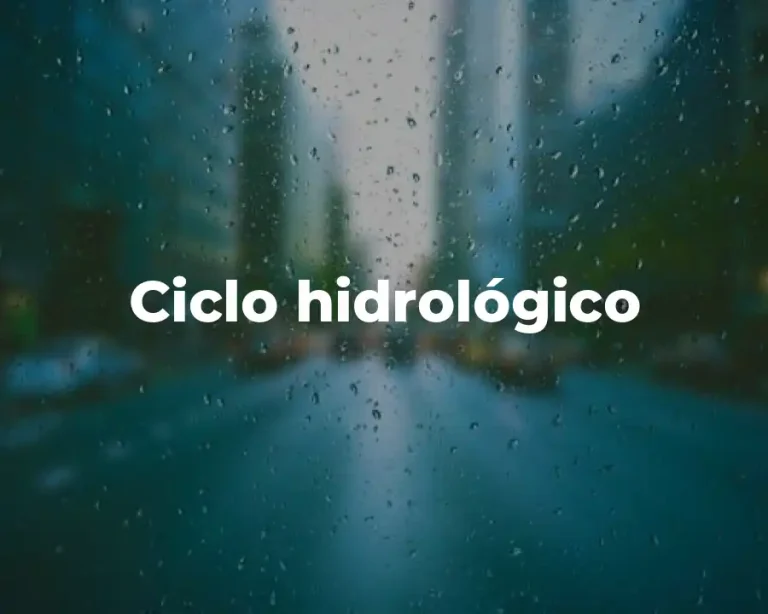 Ciclo hidrológico