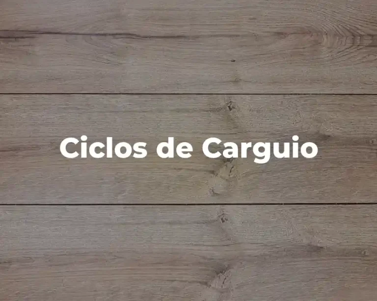 Ciclos de Carguio