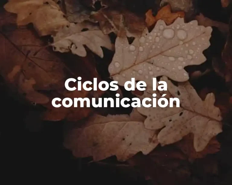 Ciclos de la comunicación