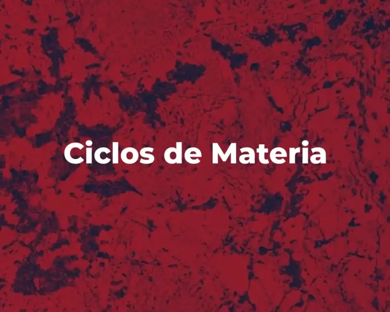 Ciclos de Materia