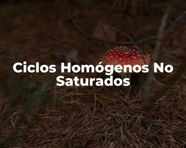 Ciclos Homógenos No Saturados