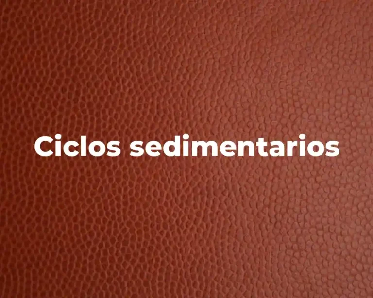 Ciclos sedimentarios