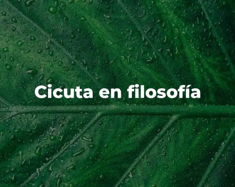 Cicuta en filosofía