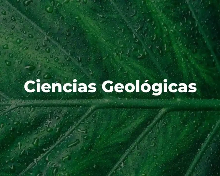 Ciencias Geológicas