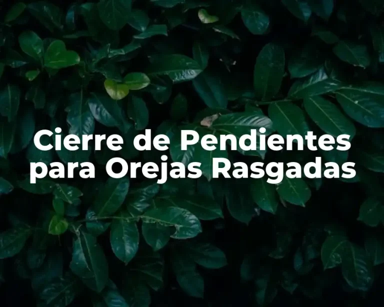 Cierre de Pendientes para Orejas Rasgadas