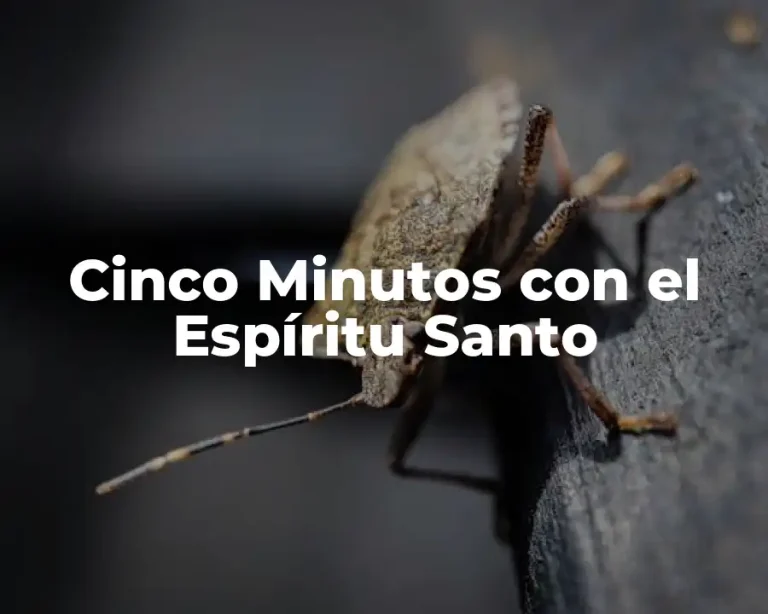 Cinco Minutos con el Espíritu Santo