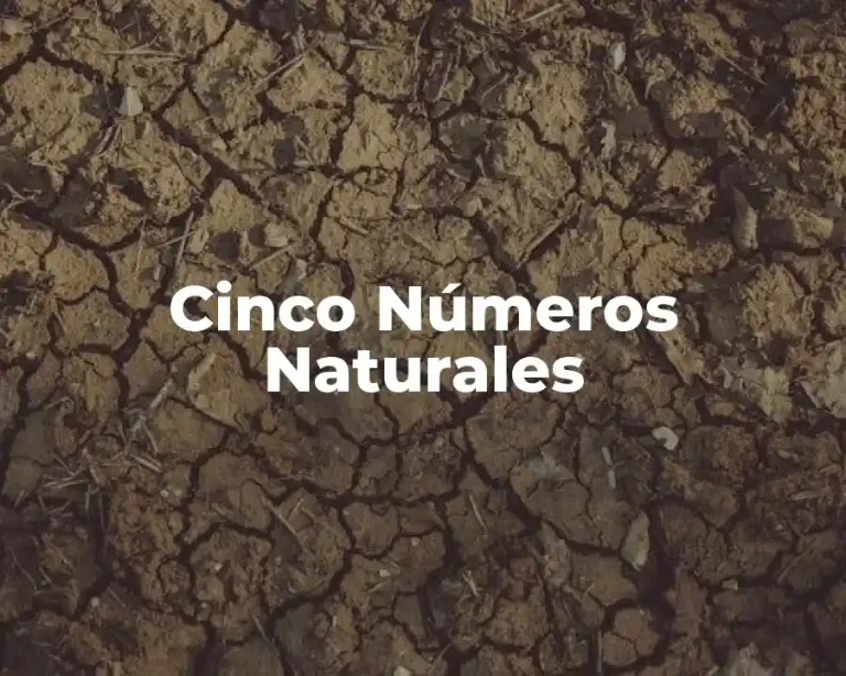 Cinco Números Naturales