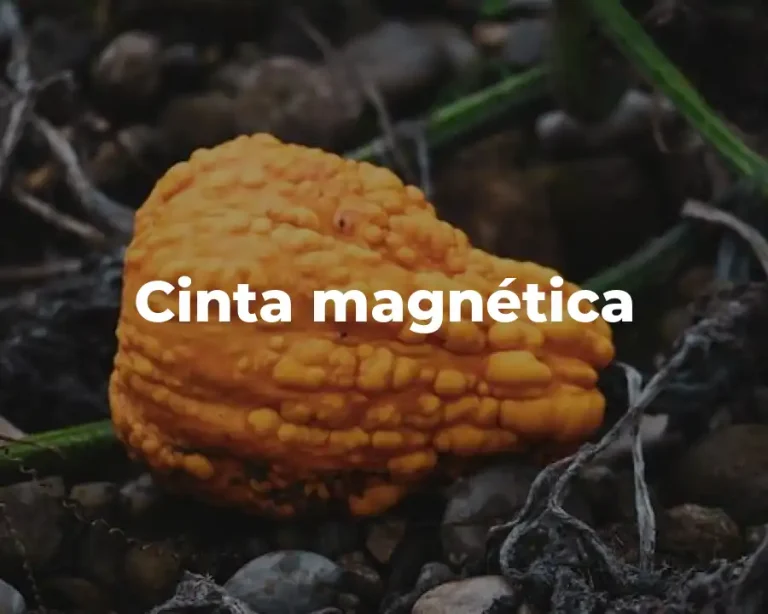 Cinta magnética