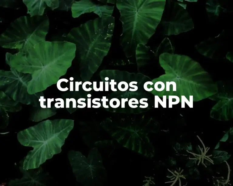 Circuitos con transistores NPN
