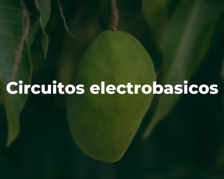 Circuitos electrobasicos