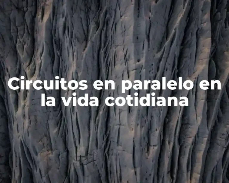 Circuitos en paralelo en la vida cotidiana