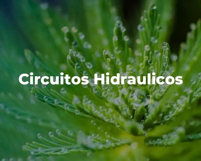 Circuitos Hidraulicos