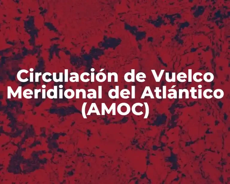 Circulación de Vuelco Meridional del Atlántico (AMOC)