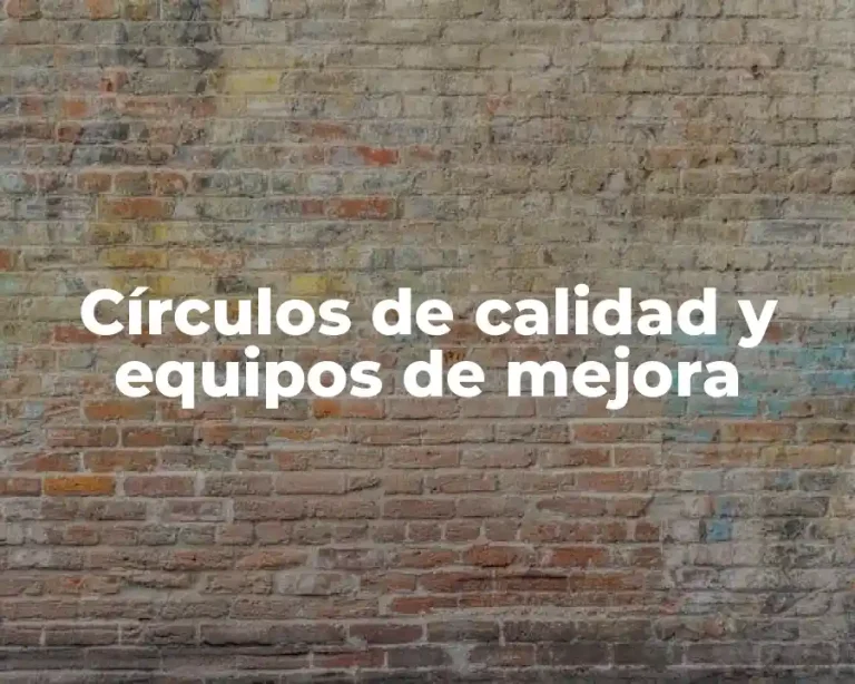 Círculos de calidad y equipos de mejora