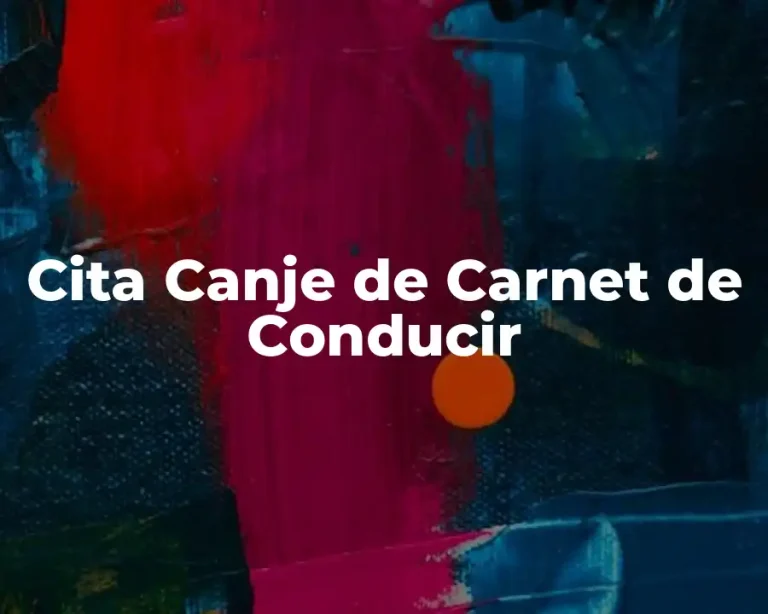 Cita Canje de Carnet de Conducir