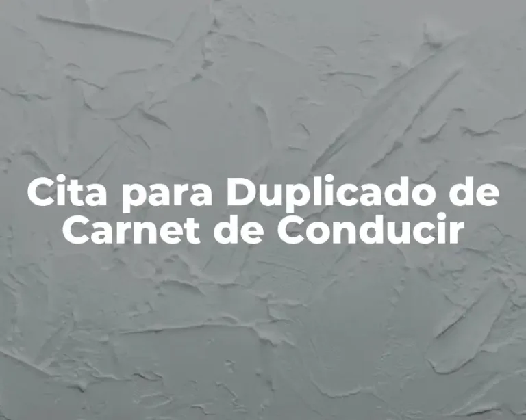 Cita para Duplicado de Carnet de Conducir