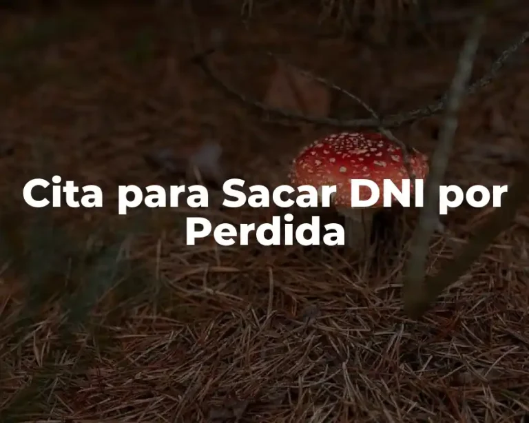 Cita para Sacar DNI por Perdida