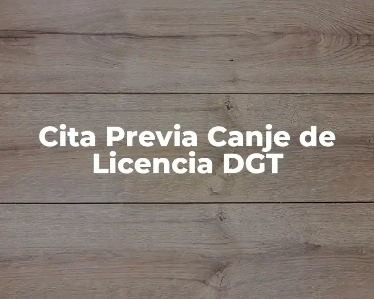 Cita Previa Canje de Licencia DGT