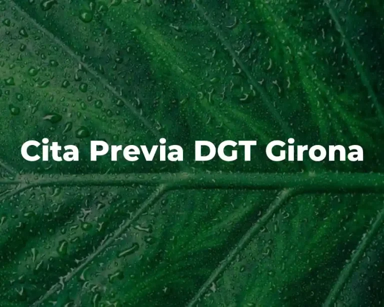 Cita Previa DGT Girona