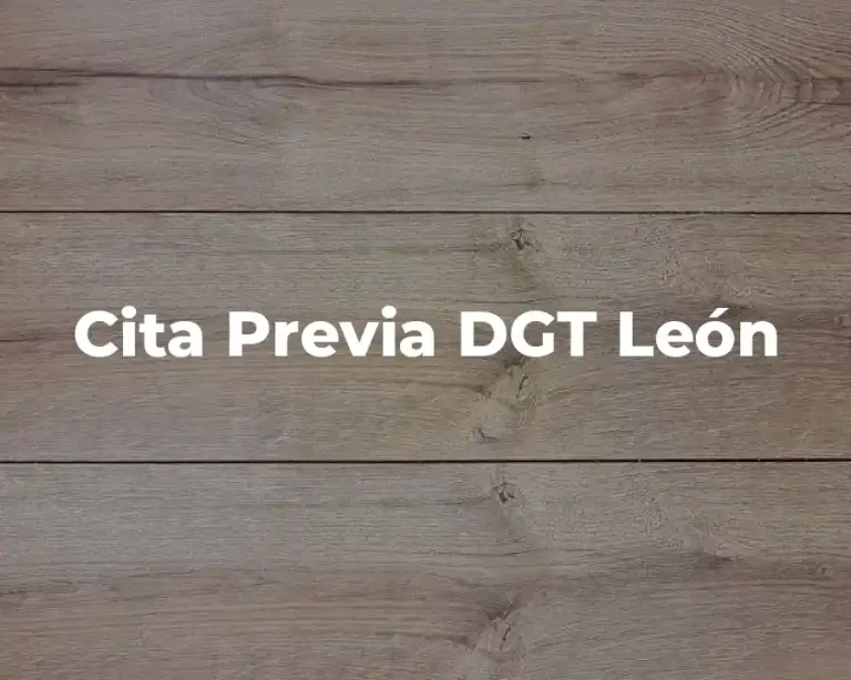 Cita Previa DGT León