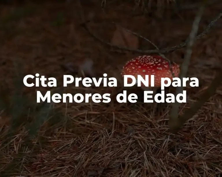 Cita Previa DNI para Menores de Edad