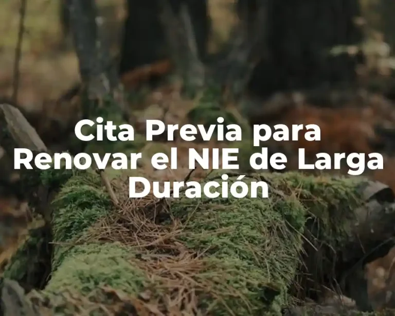 Cita Previa para Renovar el NIE de Larga Duración