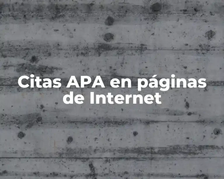 Citas APA en páginas de Internet