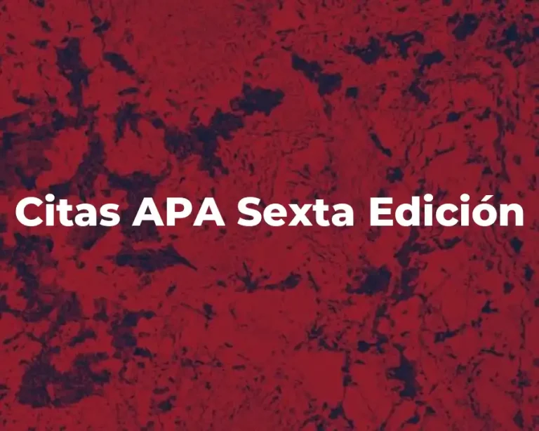 Citas APA Sexta Edición