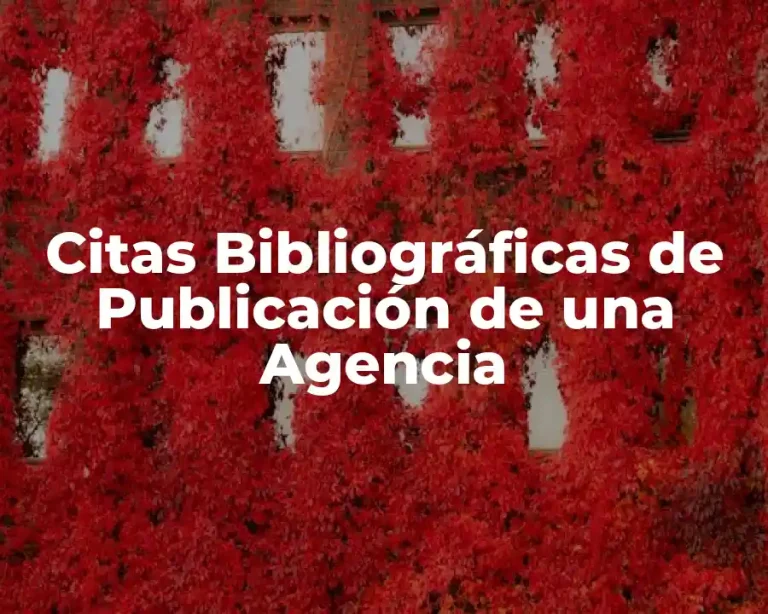 Citas Bibliográficas de Publicación de una Agencia