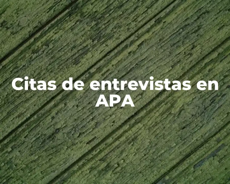 Citas de entrevistas en APA