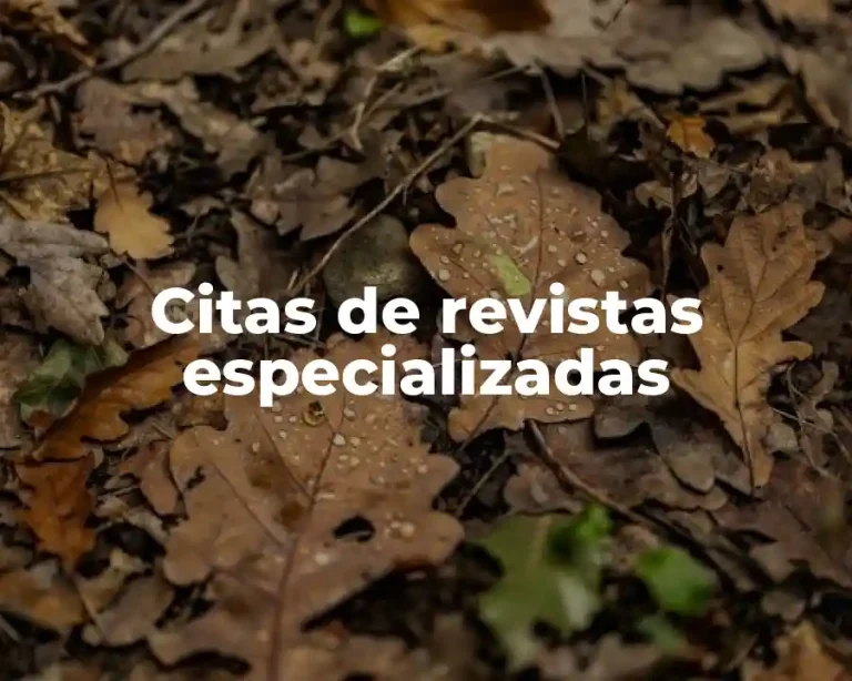 Citas de revistas especializadas