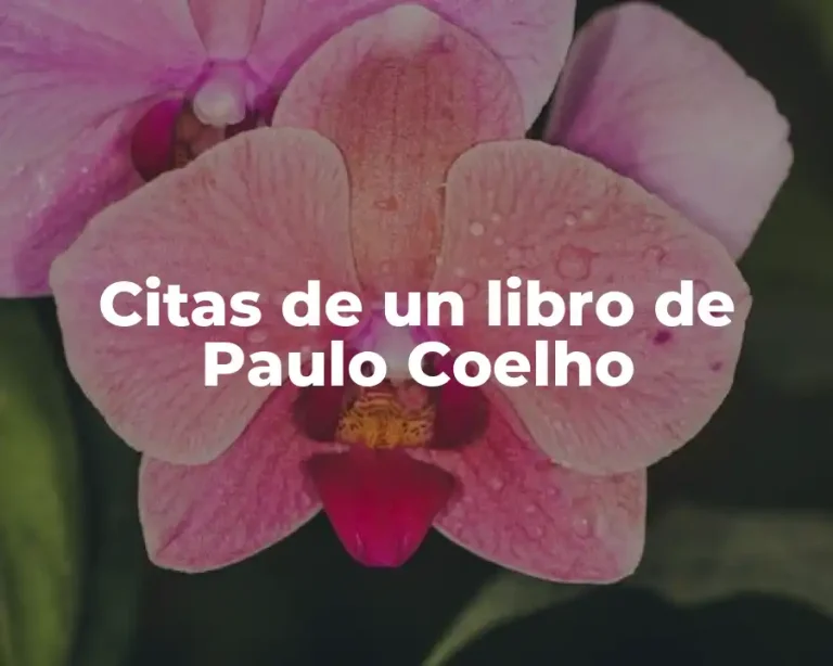 Citas de un libro de Paulo Coelho