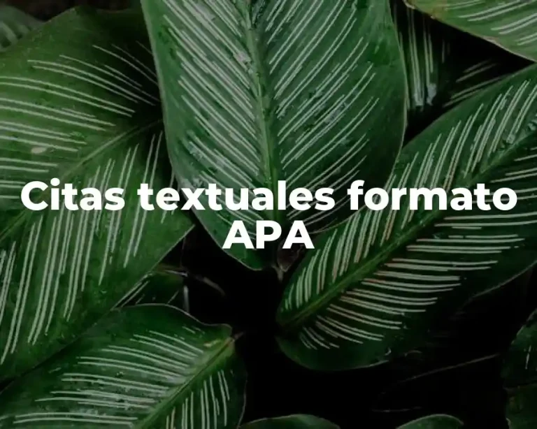 Citas textuales formato APA
