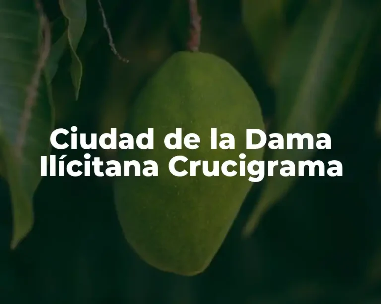 Ciudad de la Dama Ilícitana Crucigrama