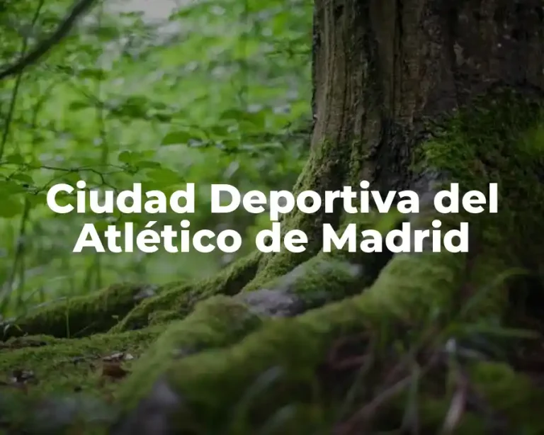 Ciudad Deportiva del Atlético de Madrid