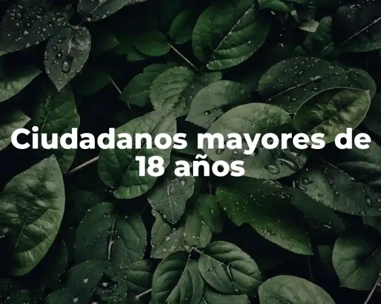 Ciudadanos mayores de 18 años