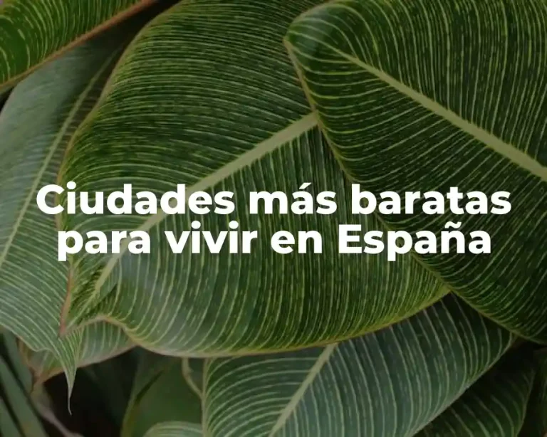 Ciudades más baratas para vivir en España