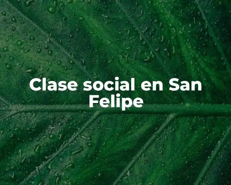 Clase social en San Felipe