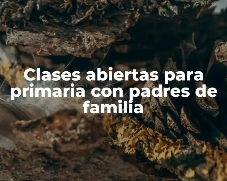 Clases abiertas para primaria con padres de familia