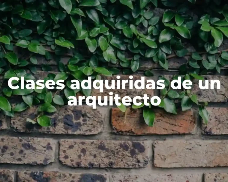 Clases adquiridas de un arquitecto