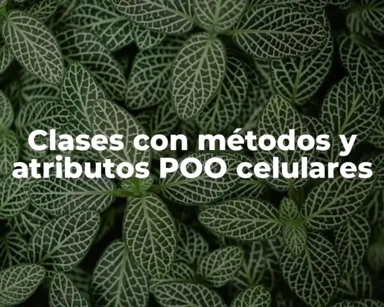 Clases con métodos y atributos POO celulares