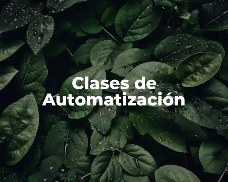 Clases de Automatización