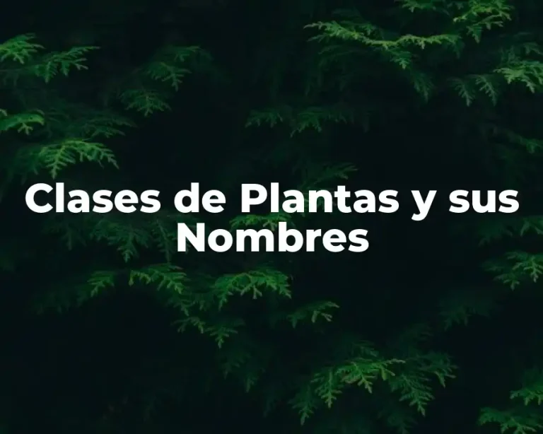 Clases de Plantas y sus Nombres
