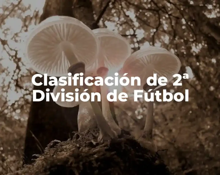 Clasificación de 2ª División de Fútbol