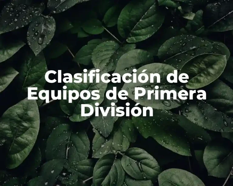 Clasificación de Equipos de Primera División