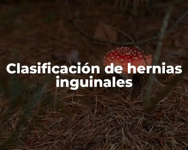 Clasificación de hernias inguinales
