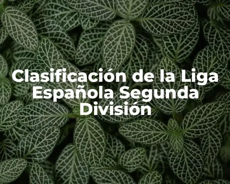 Clasificación de la Liga Española Segunda División